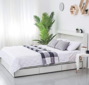 4 Bí Quyết Chọn Giường Gỗ Tốt Không Thể Bỏ Lỡ